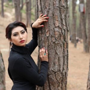 1000USD - Cashmere Dress